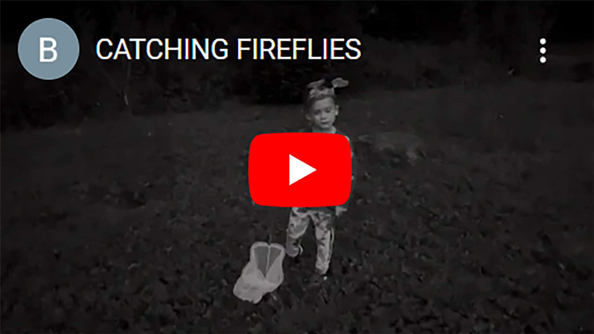 CATCHING FIREFLIES