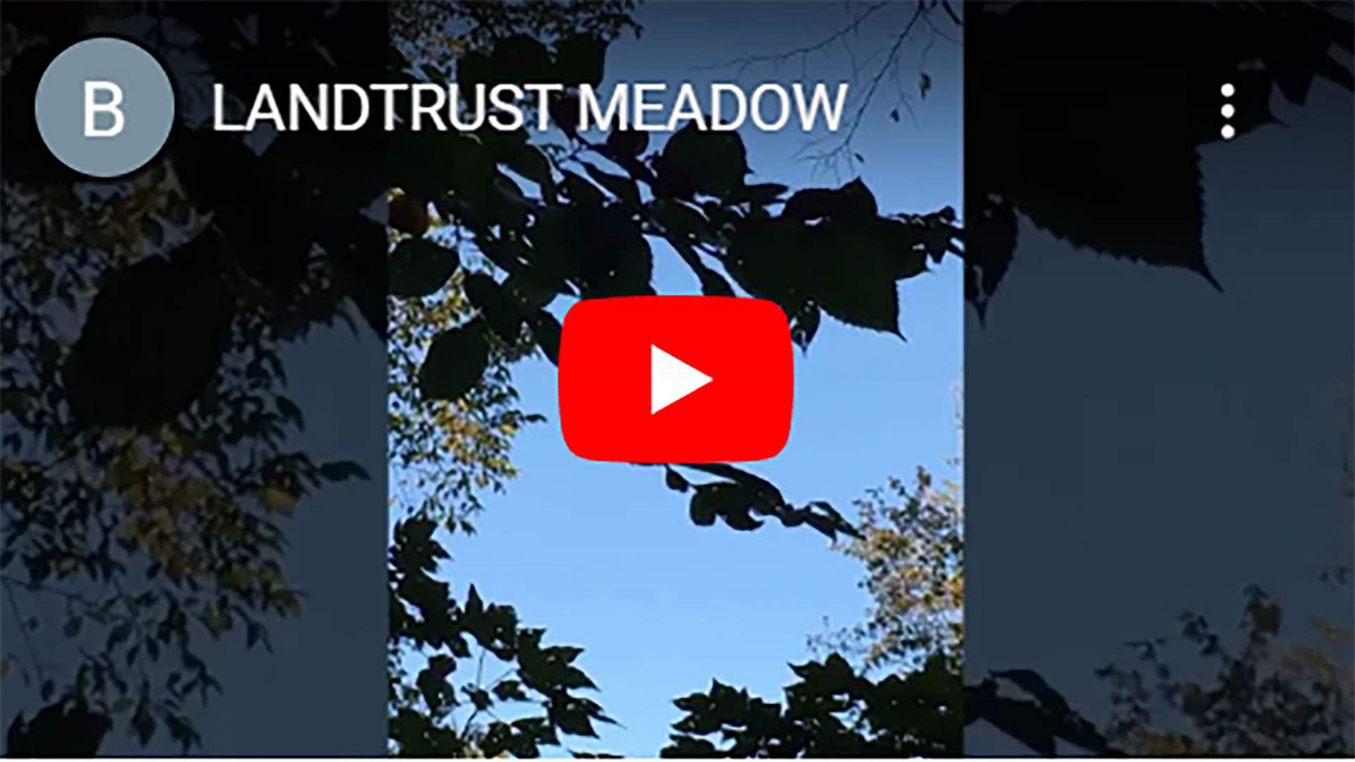 LANDTRUST-MEADOW