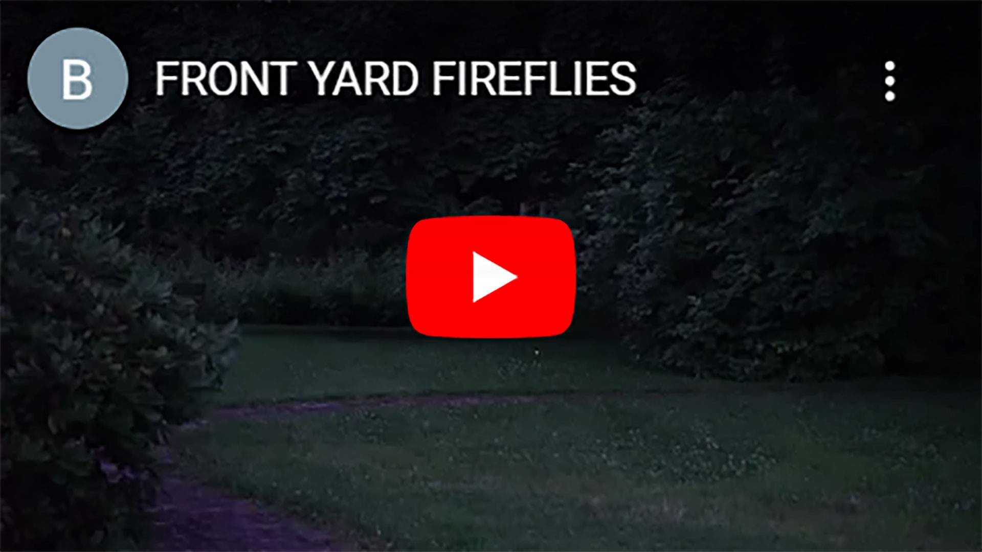 FRONT-YARD-FIREFLIES