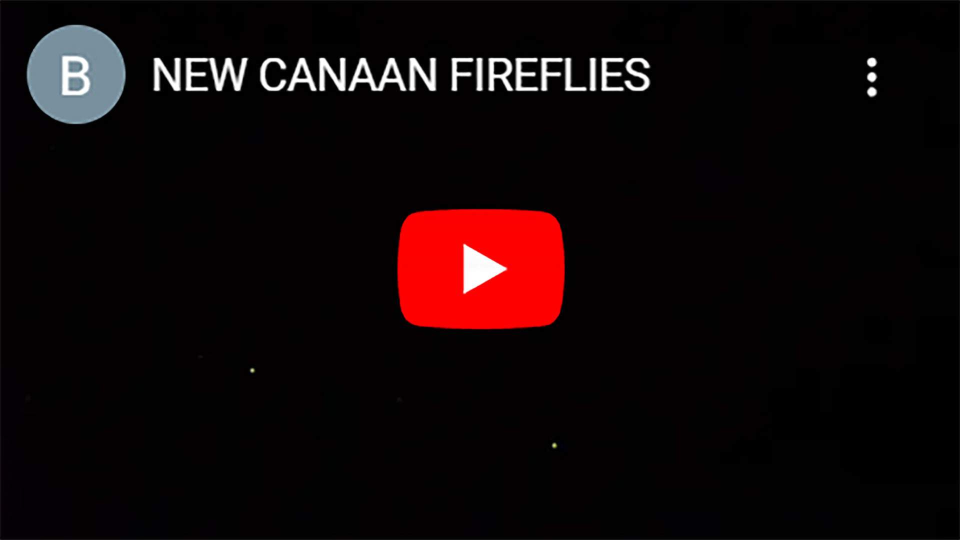 NEW-CANAAN-FIREFLIES