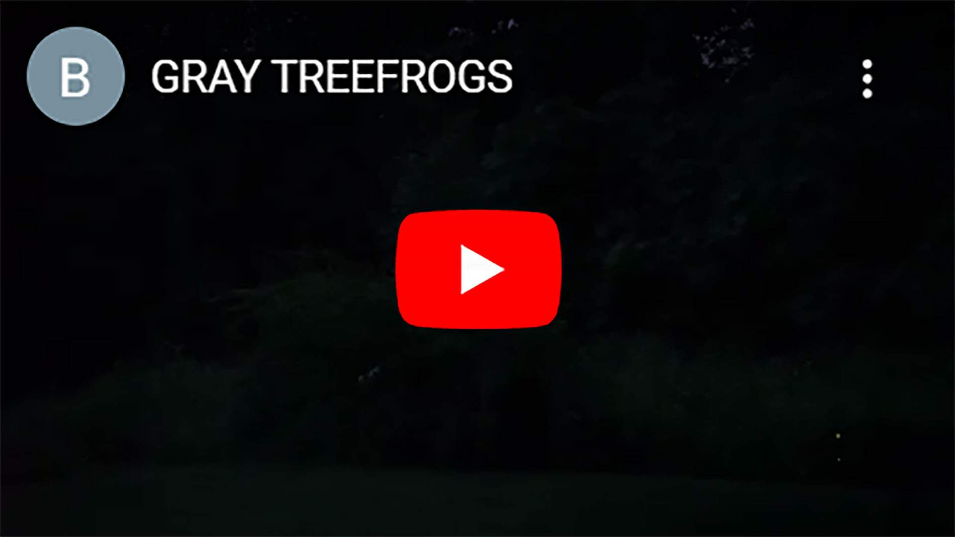 GRAY-TREEFROGS