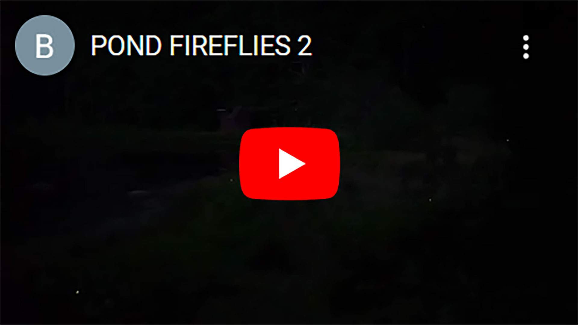 POND-FIREFLIES-2