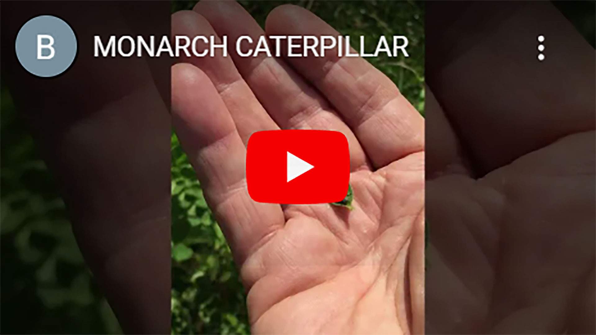 MONARCH-CATERPILLAR